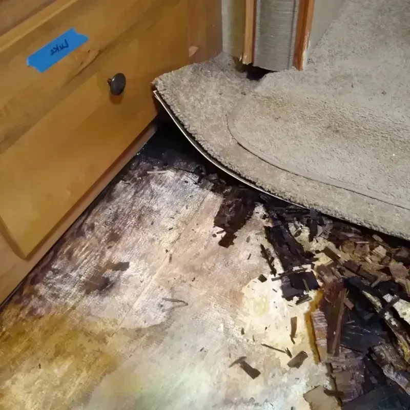 Wood Floor Water Damage in Stokes County, NC